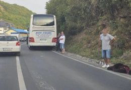Kod Travnika autobus udario medvjeda