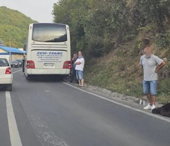 Kod Travnika autobus udario medvjeda