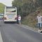 Kod Travnika autobus udario medvjeda Kod Travnika autobus udario medvjeda