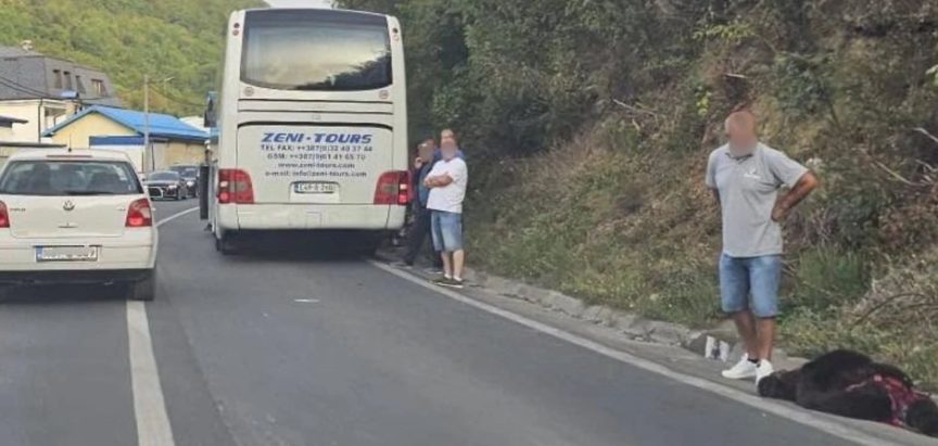 Kod Travnika autobus udario medvjeda