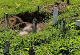Medvjed raskopao grob kod Travnika