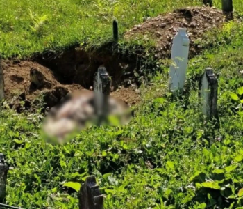 Medvjed raskopao grob kod Travnika