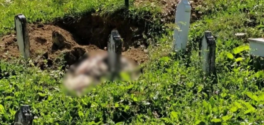 Medvjed raskopao grob kod Travnika