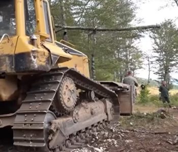 Šume HNŽ-a bez zakona i reda, anarhiji u upravljanju se ne nazire kraj