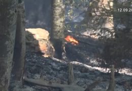BiH prva u regiji po opožarenim površinama, iza vatre najčešće ljudski faktor
