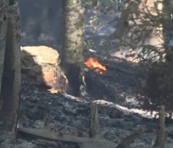 BiH prva u regiji po opožarenim površinama, iza vatre najčešće ljudski faktor