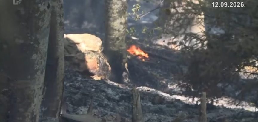 BiH prva u regiji po opožarenim površinama, iza vatre najčešće ljudski faktor