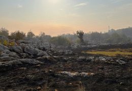 Nadležne službe obišle požarišta, u pripravnosti zbog mogućeg izbijanja novih požara