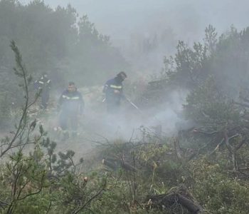 I dalje su aktivna žarišta na Čvrsnici, a vatrogasci su na terenu