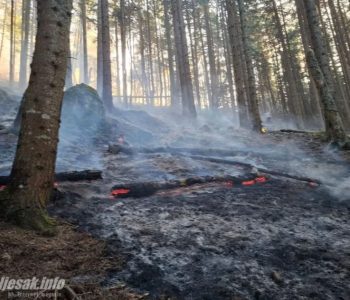 Sumnja se na ljudski faktor