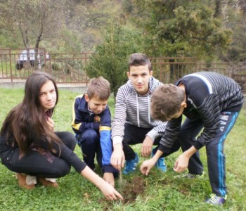 OŠ „Ivan Mažuranić“ Gračac sudjelovala u akciji „Let’s Do It – milijun sadnica za 1 dan“
