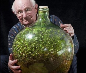 Zapanjujući primjer fotosinteze: „vrt“ u zatvorenoj boci nije zalijevan preko 40 godina