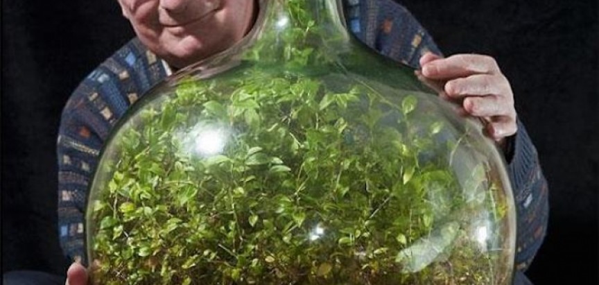 Zapanjujući primjer fotosinteze: „vrt“ u zatvorenoj boci nije zalijevan preko 40 godina