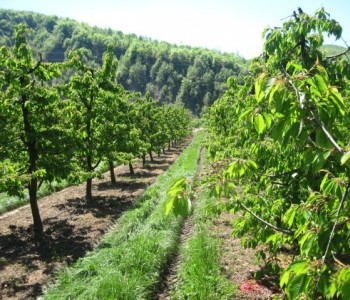 Studijsko putovanje proizvođača voća i poljoprivrednih savjetodavaca