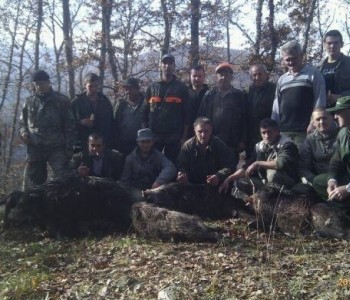 Foto:Lovačka sekcija Lug u subotu ulovila 4 divlje svinje