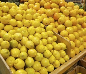 Budite jako oprezni – Užasnut ćete se kada doznate zašto je limun drastično pojeftinio