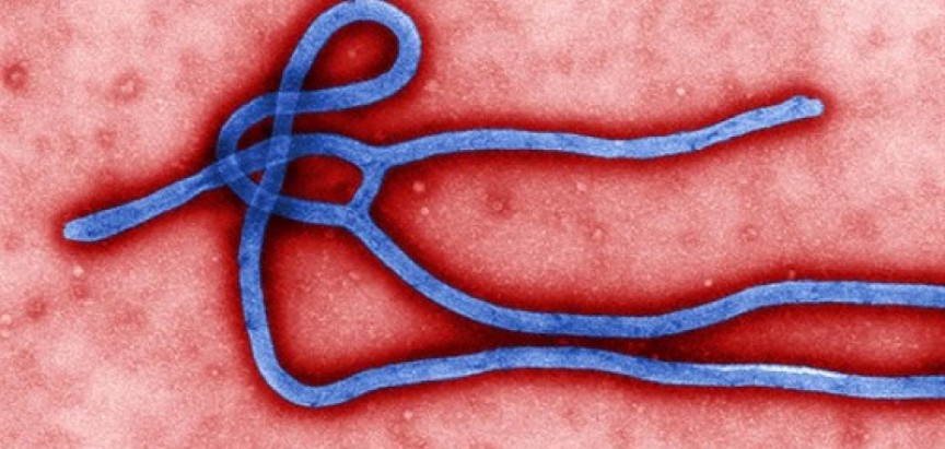 Kanada Africi donira cjepivo protiv ebole