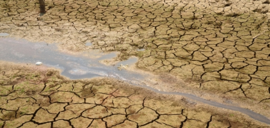 Kalifornijom hara suša, zemlja uvela izvanredne mjere štednje