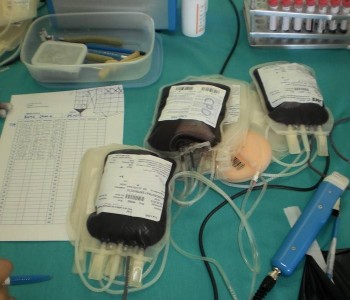 Crveni križ Prozor-Rama: Akcija dobrovoljnog darivanja krvi