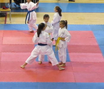 Karate klub EMPI nastupa na turnirima u Konjicu i Slavonskom Brodu